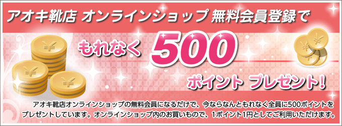 500ポイントプレゼント